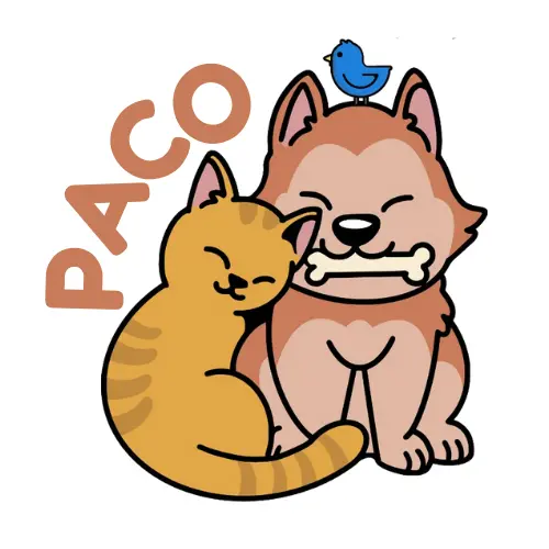 logo_header