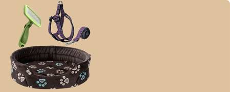 Accesorios