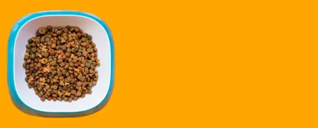 Alimentos para gatos