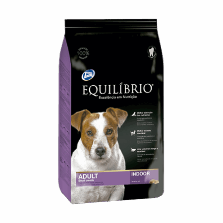 equilibrio-perro-adulto-rp