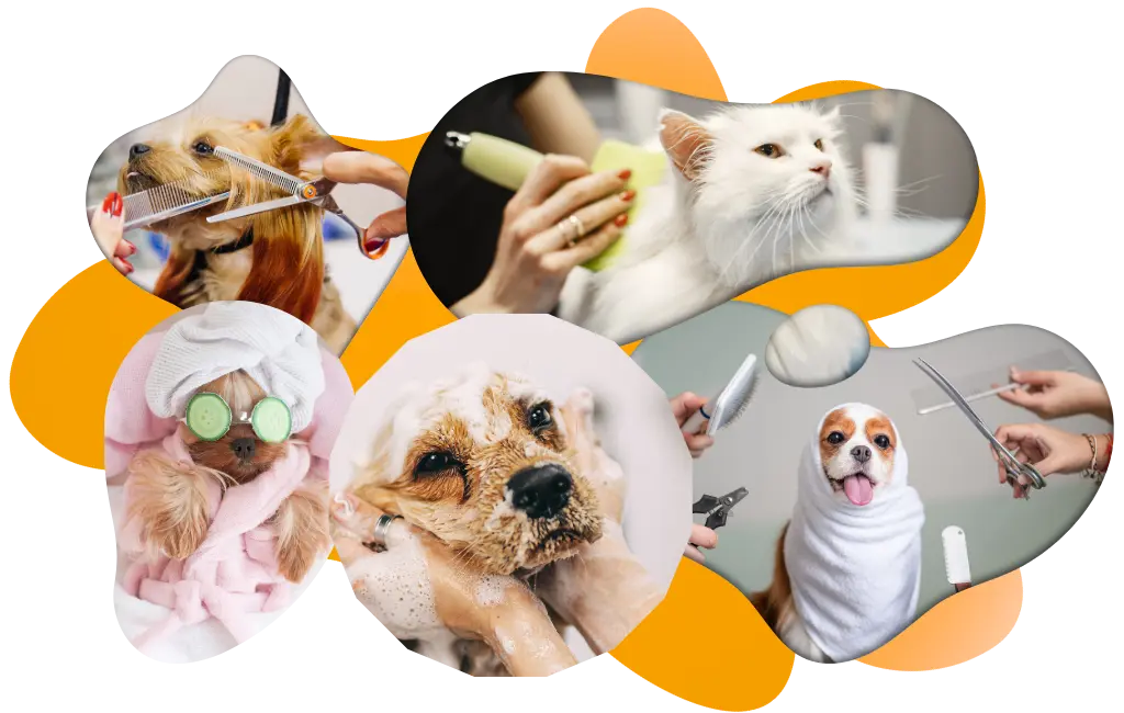 servicio-peluqueria-banner