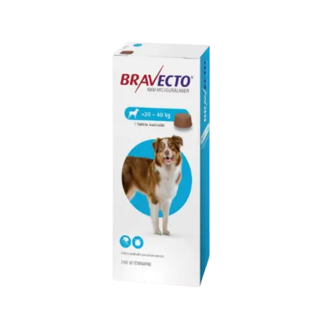 Bravecto - Perros De 20 Hasta 40 Kg