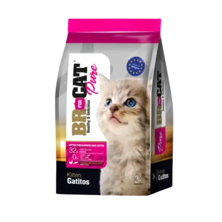 Br For Cat Gatitos Cachorros