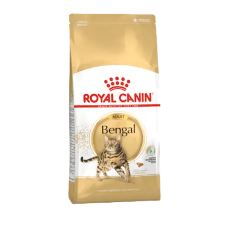 Royal Canin - Bengali Adulto