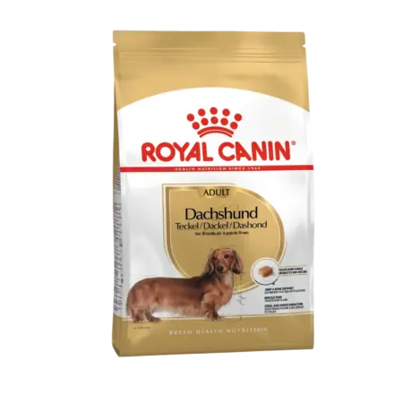 Royal Canin - Dachshund Adulto