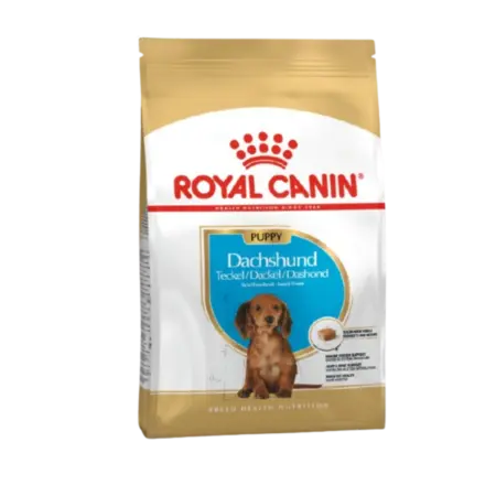 Royal Canin - Dachshund Puppy