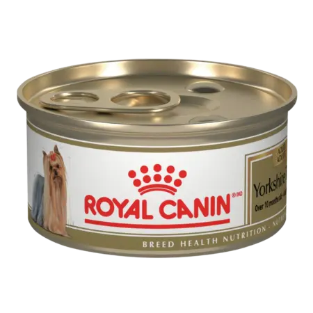 Lata Royal Canin - Yorkshire