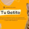 blog-vacunas-gatos