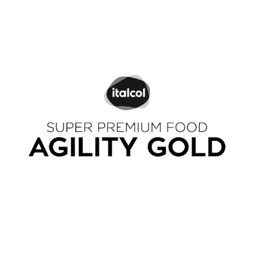 agility-logo-final